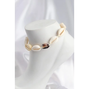 Mey İthalat® Doğal Kauri Kabuğu Asansörlü Model Halhal