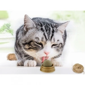 Mey İthalat® Kedi Nanesi (Catnip) Oyun Topu