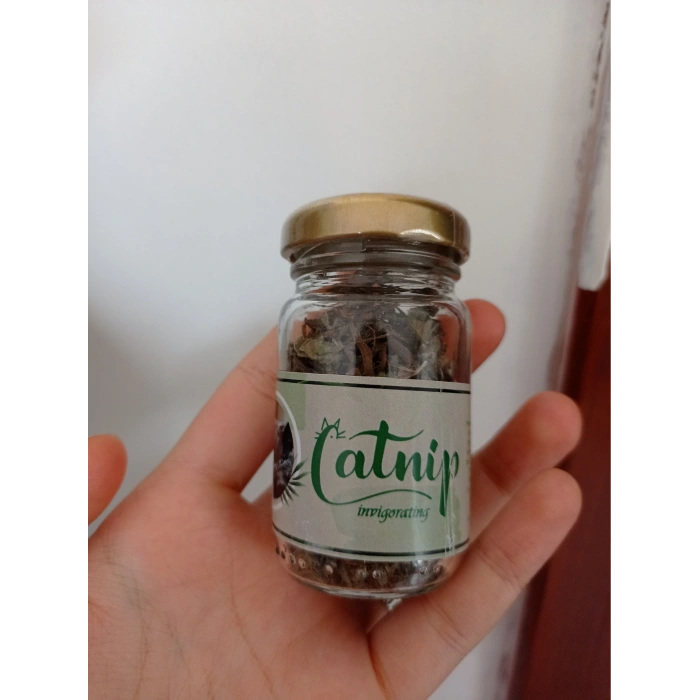 Catnip Doğal Kedi Otu - Kedi Nanesi