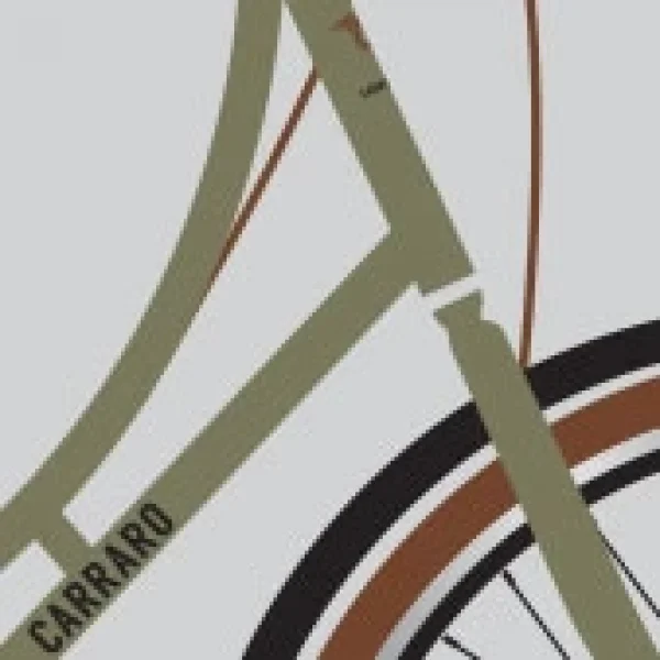 Carraro Modena V Fren 7 Vites 28 Jant Şehir Bisikleti Açık Yeşil Kahve 46 Kadro