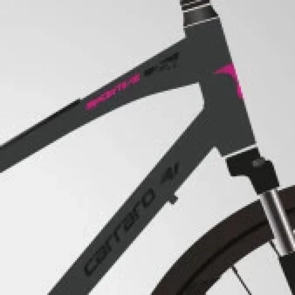 Carraro Sportive 226 HD Disk Fren 24 Vites 28 Jant Şehir Bisikleti Antrasit Siyah 41 Kadro