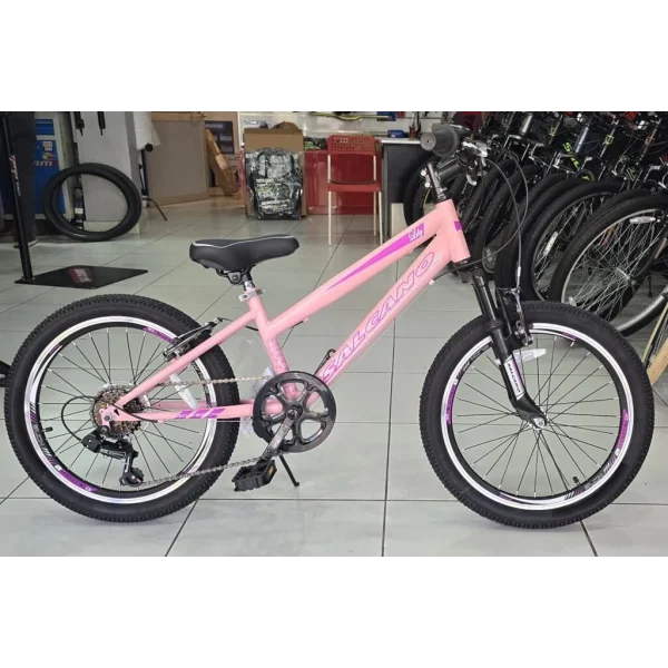 Salcano Lily 20 V Fren 6 Vites 20 Jant Kız Çocuk Bisikleti Pudra Pembe Mor