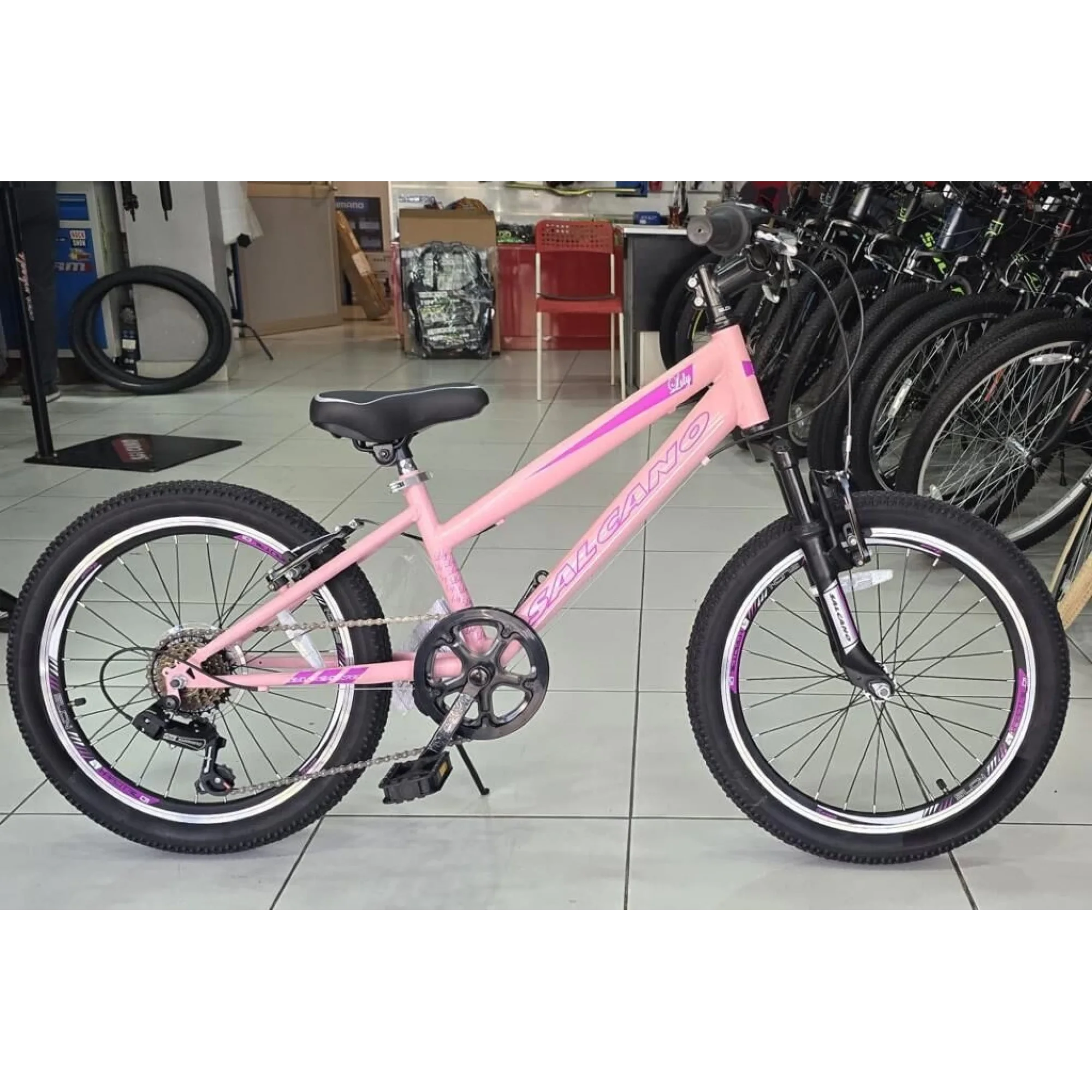 Salcano Lily 20 V Fren 6 Vites 20 Jant Kız Çocuk Bisikleti Pudra Pembe Mor