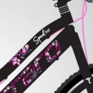 Carraro Speed 262 V Fren 21 Vites 26 Jant Dağ Bisikleti Siyah Pembe