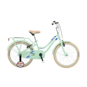 Salcano Flyer 20 V Fren 20 Jant Çocuk Bisikleti Mint Yeşili Mavi