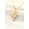 316L Çelik Gold Renk Kutup Yıldızı Kolye