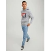 Logo Baskılı Kapüşonlu Erkek Sweatshirt