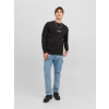 Organik Pamuk Erkek Sweatshirt