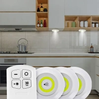 3 LÜ KUMANDALI LED LAMBA BRADER-30