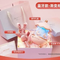 Atlı Karınca Gece Ambiyans Aydınlatma LSN 11-T