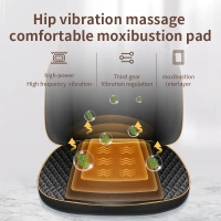 HiLDA HL-K5S Koltuk Masaj Aleti