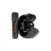 Kıngone Bluetooth Karaoke Speaker A88K