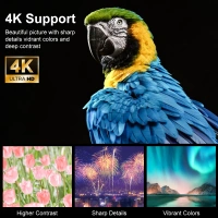 Lensun Projeksiyon New 13