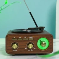 Md-1317 Plak Görünümlü Radio Ses Bombası