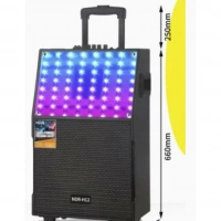 NDR-H12 1500W KARAOKE SES BOMBASI