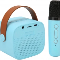 SP-01 MAVİ KARAOKE MİKROFON