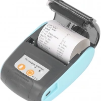 Taşınabilir Termal Yazıcı PT-210 Mavi
