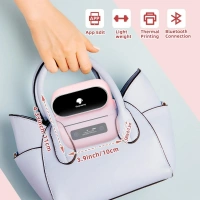 Taşınabilir Termal Yazıcı PT-260 Pembe