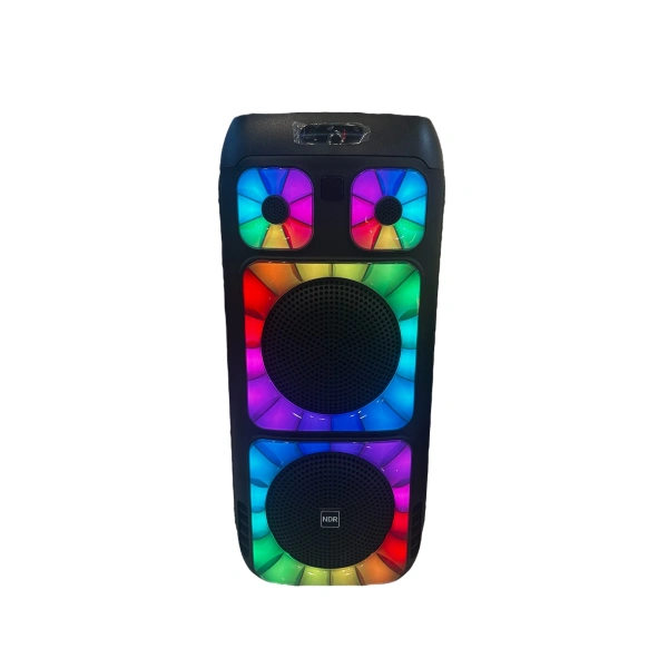 NDR-0101 3000W KARAOKE SES BOMBASI