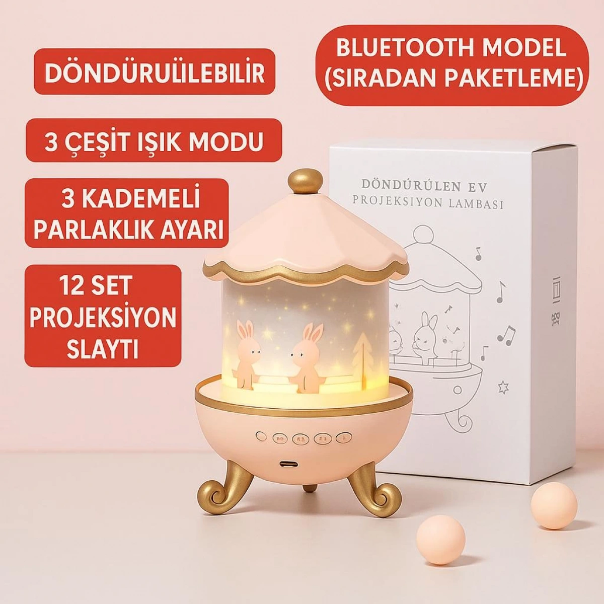 Atlı Karınca Gece Ambiyans Aydınlatma LSN 11-T