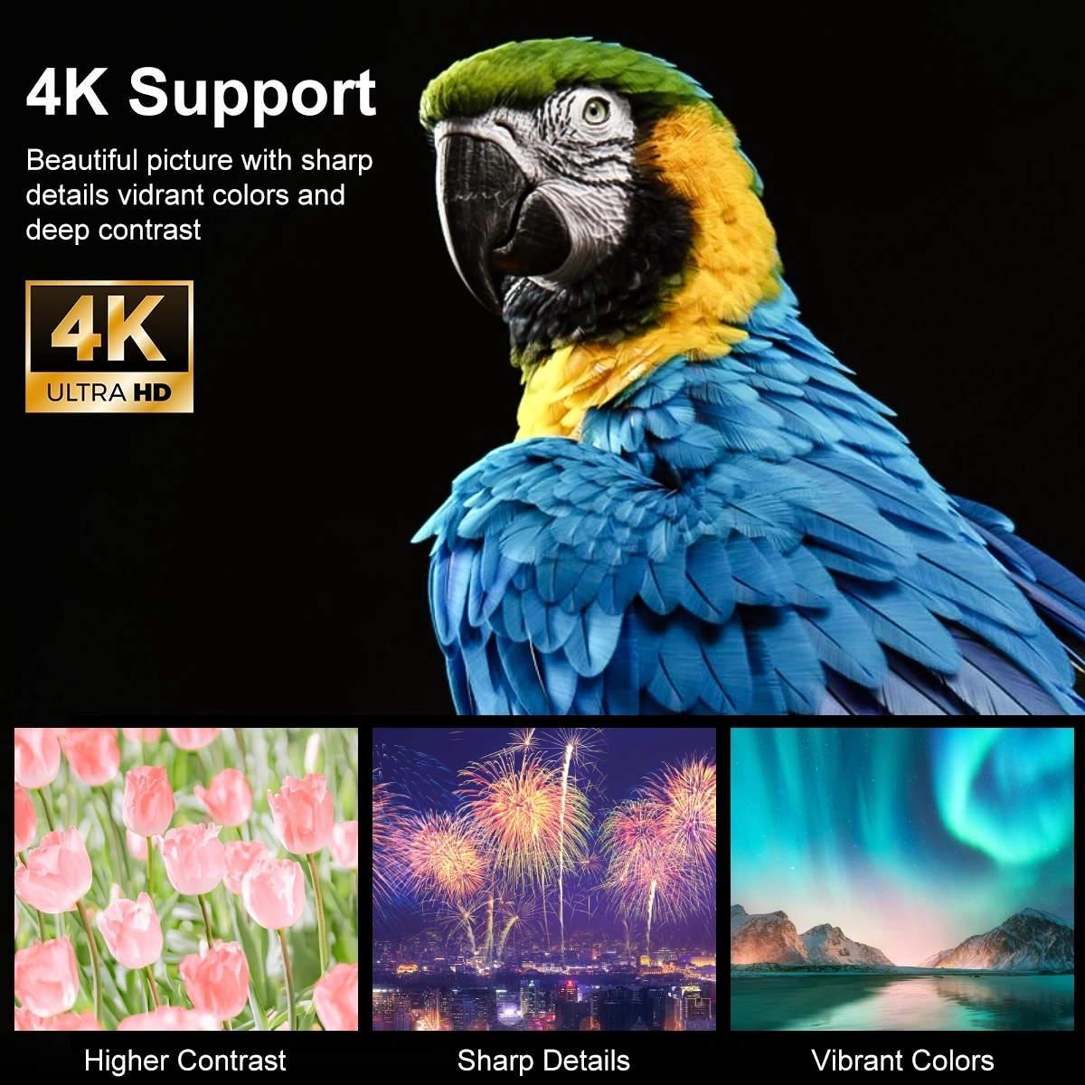 Lensun Projeksiyon New 13