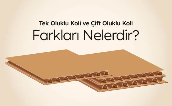 Tek Oluklu Koli ve Çift Oluklu Koli Farkları Nelerdir?