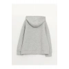 Kapüşonlu Oversize Kadın Fermuarlı Sweatshirt