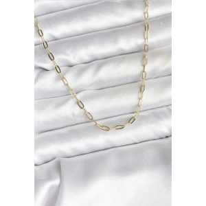 14K Gold Renk Kaplama Ataç Zincir Model CM Kadın Kolye