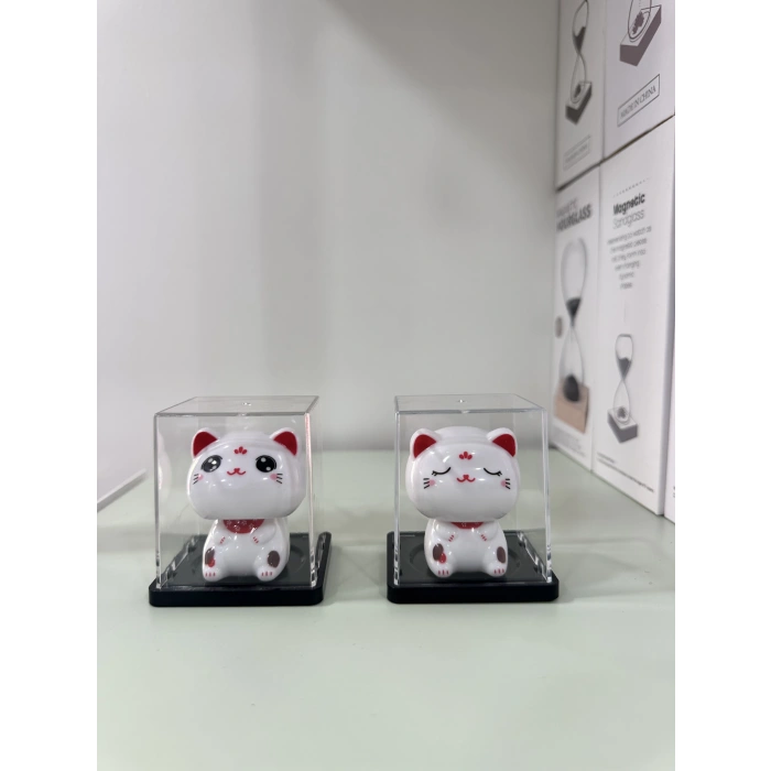 Pleksi Kutuda Kedi Küçük