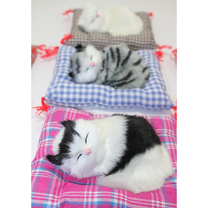 Yastıkta Uyuyan Kedi Sesli Alk25