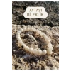 Ay Taşı Bileklik / Aytaşı Bileklik