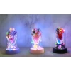 LED Işıklı Müzikli Cam Fanus İçinde Gül Buketi  Alk5006