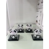 Pleksi Kutuda Panda Küçük