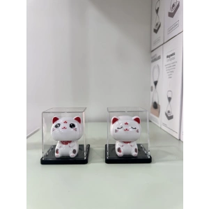 Pleksi Kutuda Kedi Küçük
