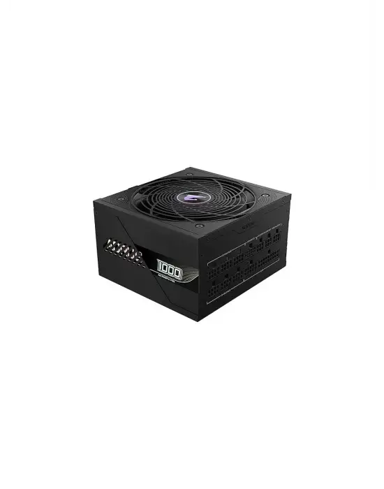 GİGABYTE AORUS ELİTE GP-AE1000PM PG5 GEN5 1000 W POWER SUPPLY
