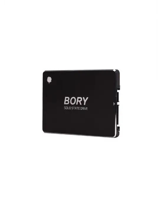 BORY 1 TB BORY SATA3 R500-C1T SSD 550/510 MBS (3 YIL GARANTİLİ)