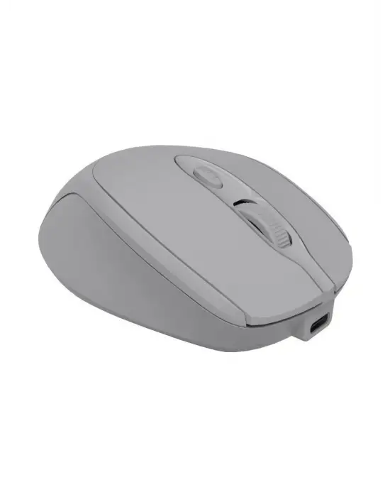 CLASSONE CBT14 OPTİK KABLOSUZ MOUSE