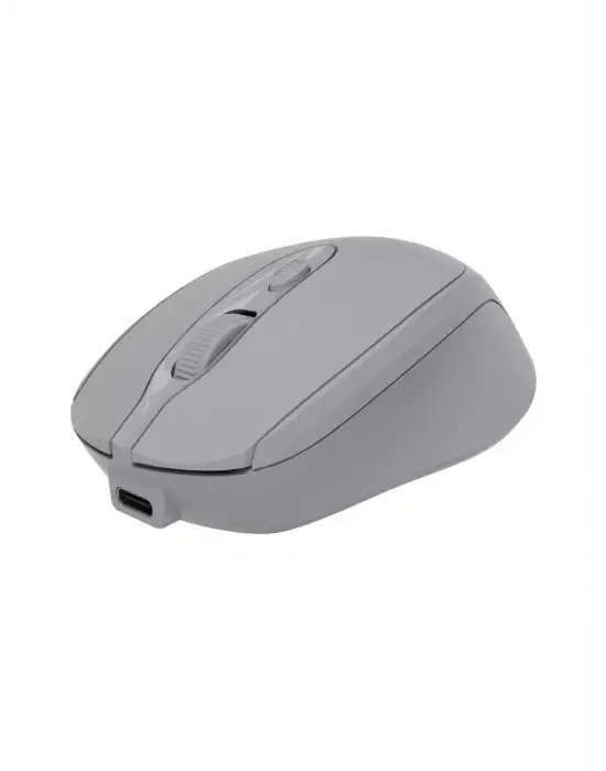 CLASSONE CBT14 OPTİK KABLOSUZ MOUSE