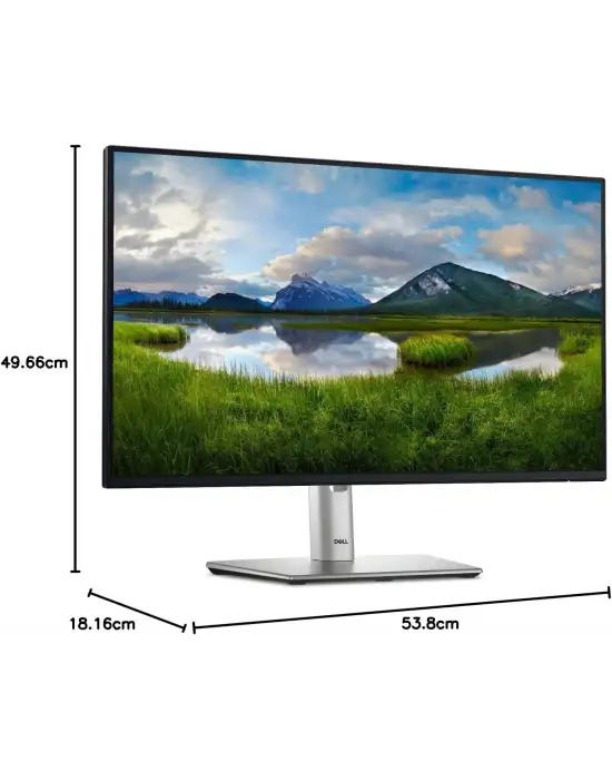 DELL P2425H 24 5 MS FULL HD PİVOT IPS 100 HZ MONİTÖR