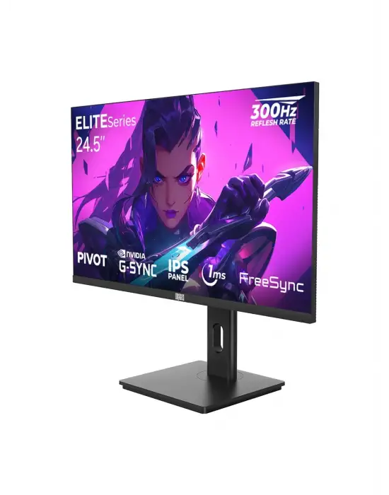 DRAGOS ELITESERİES E245FHD300 24.5 1 MS FULL HD PİVOT IPS 300 HZ OYUNCU MONİTÖRÜ