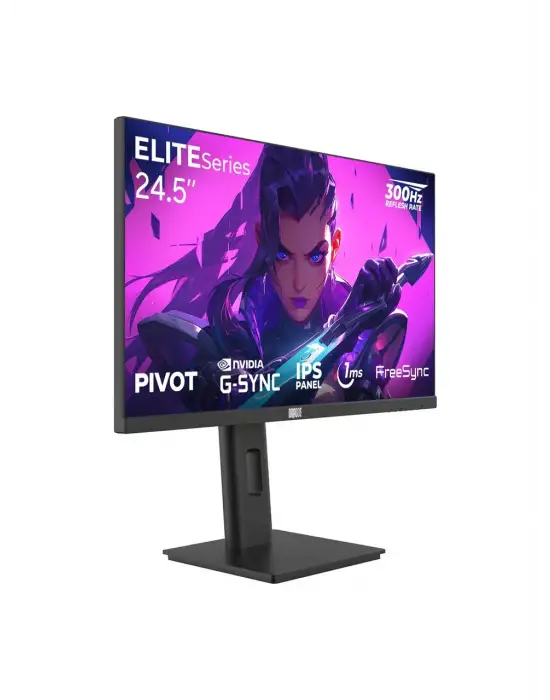 DRAGOS ELITESERİES E245FHD300 24.5 1 MS FULL HD PİVOT IPS 300 HZ OYUNCU MONİTÖRÜ
