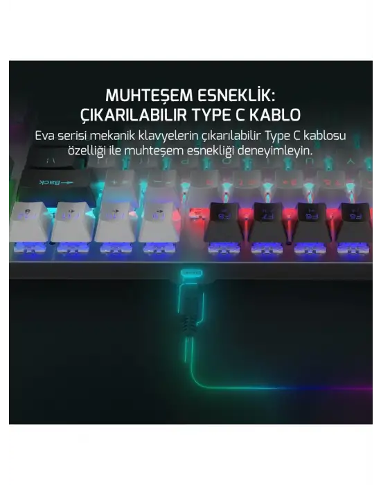 GAME POWER EVA 3 60M MEKANİK RED SWİTCH TÜRKÇE Q 88 TUŞ USB GAMİNG KLAVYE
