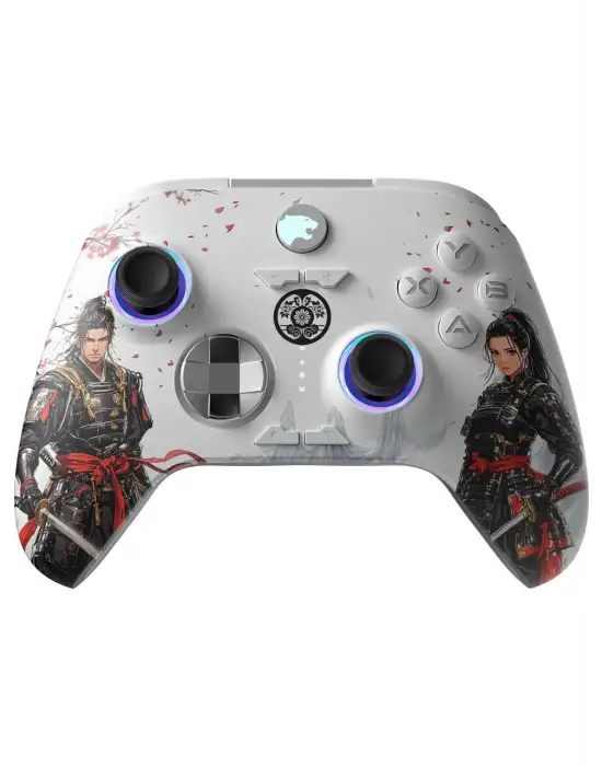 GAMEPOWER FORCE RGB KABLOLU/KABLOSUZ PC OYUN KOLU