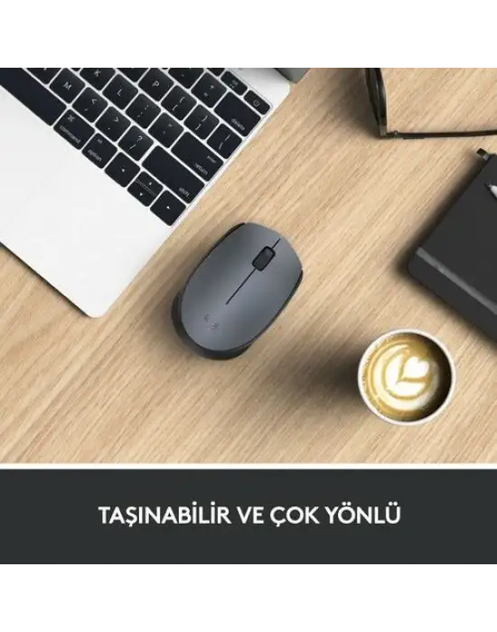 Logitech M170 910-004642 Wireless Optik Mouse