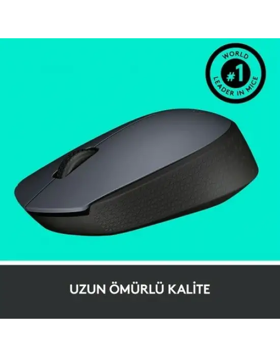 Logitech M170 910-004642 Wireless Optik Mouse