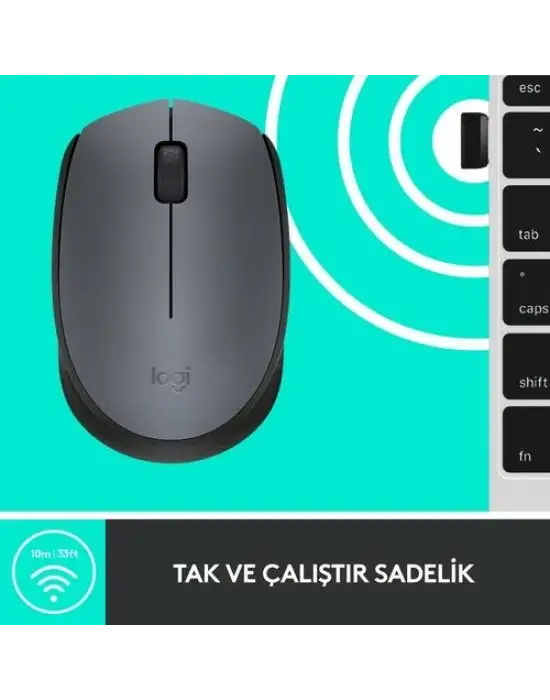 Logitech M170 910-004642 Wireless Optik Mouse