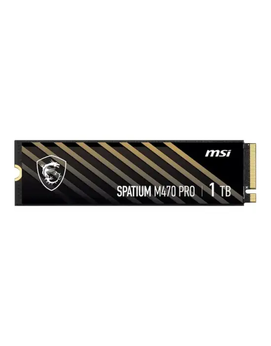 MSI SPATİUM M470 PRO PCI-EXPRESS 4.0 1 TB M.2 SSD