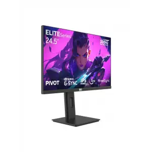 DRAGOS ELITESERİES E245FHD300 24.5 1 MS FULL HD PİVOT IPS 300 HZ OYUNCU MONİTÖRÜ