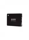 BORY 1 TB BORY SATA3 R500-C1T SSD 550/510 MBS (3 YIL GARANTİLİ)
