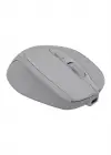 CLASSONE CBT14 OPTİK KABLOSUZ MOUSE